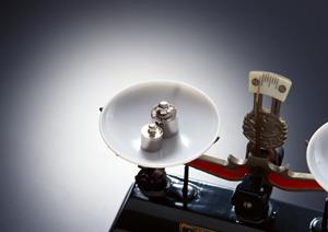 レンタルや展示会も実施している業者